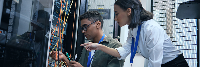 Business as Usual IT Support