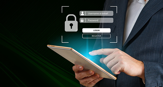 Establish an Information Security Program