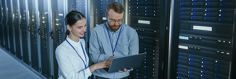 IT Support Ecosystem