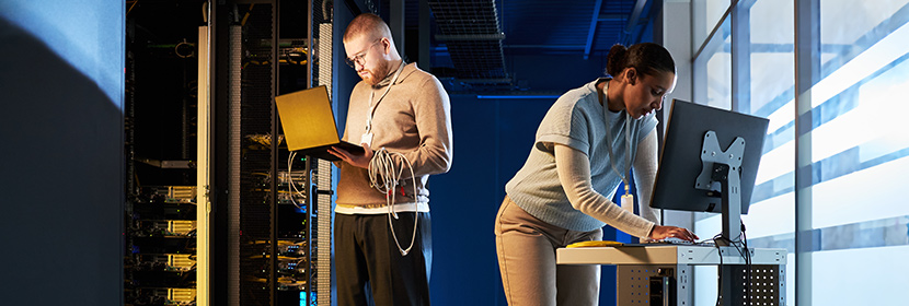 When Would You Need an IT Audit